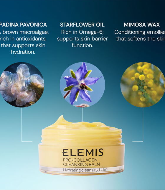 Pro-Collagen Cleansing Balm pro collagen cleansing balm