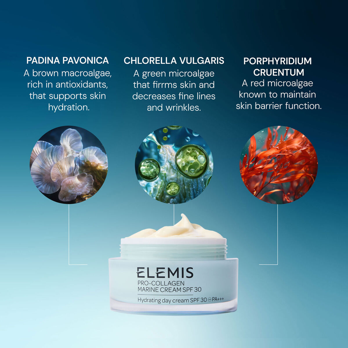 Pro-Collagen Marine Cream SPF 30 pro collagen marine cream spf 30