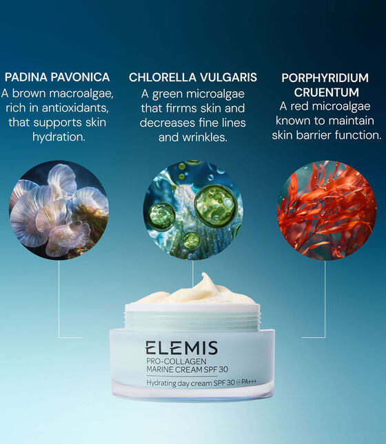 Pro-Collagen Marine Cream SPF 30 pro collagen marine cream spf 30