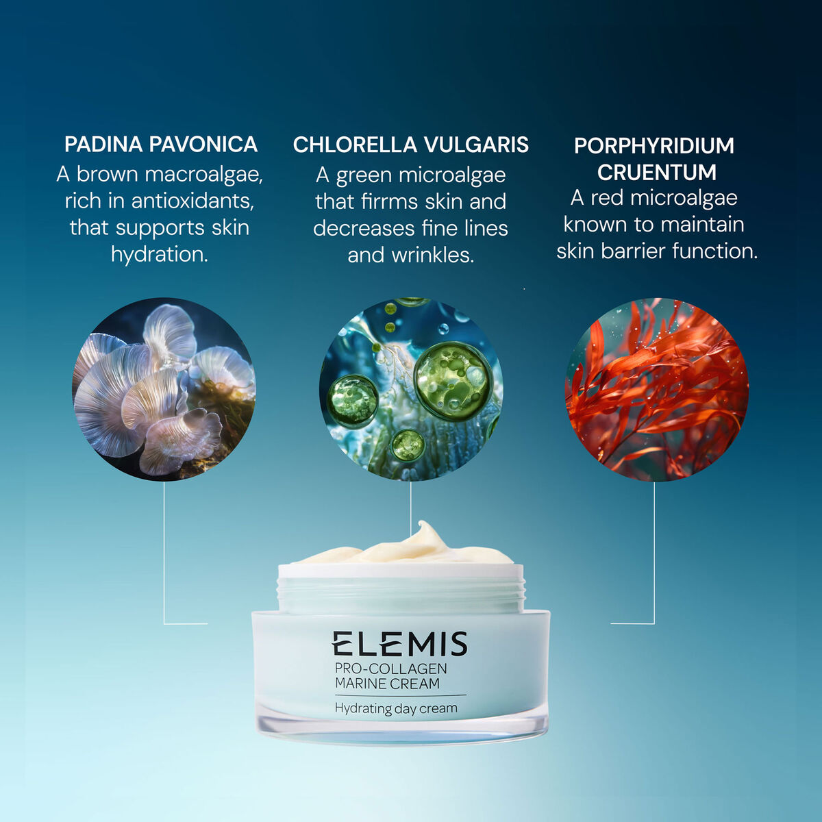 Pro-Collagen Marine Cream pro collagen marine cream