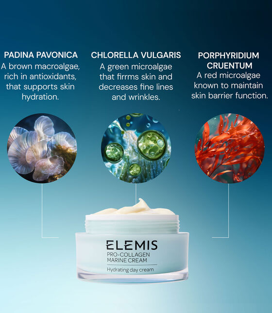 Pro-Collagen Marine Cream pro collagen marine cream