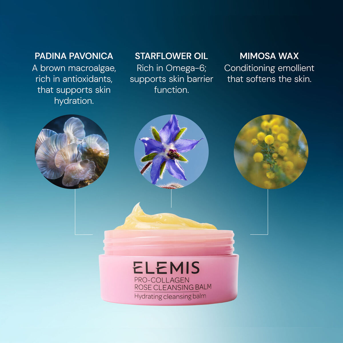 Pro-Collagen Rose Cleansing Balm pro collagen rose cleansing balm