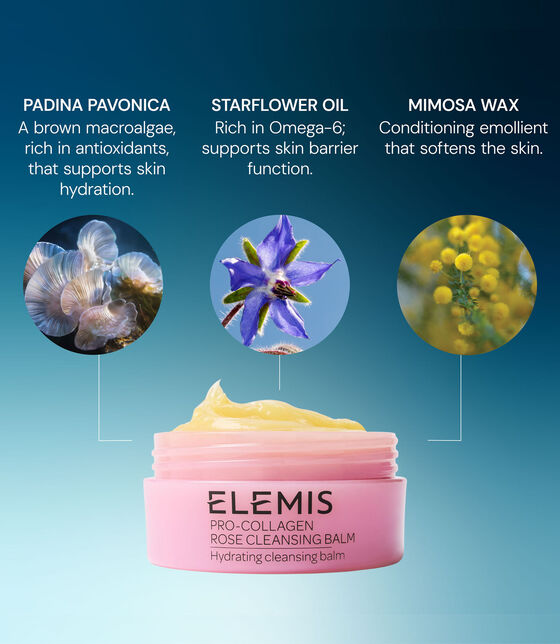 Pro-Collagen Rose Cleansing Balm pro collagen rose cleansing balm