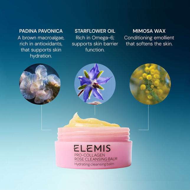 Pro-Collagen Rose Cleansing Balm pro collagen rose cleansing balm